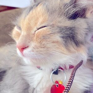 Meet your Posher, April